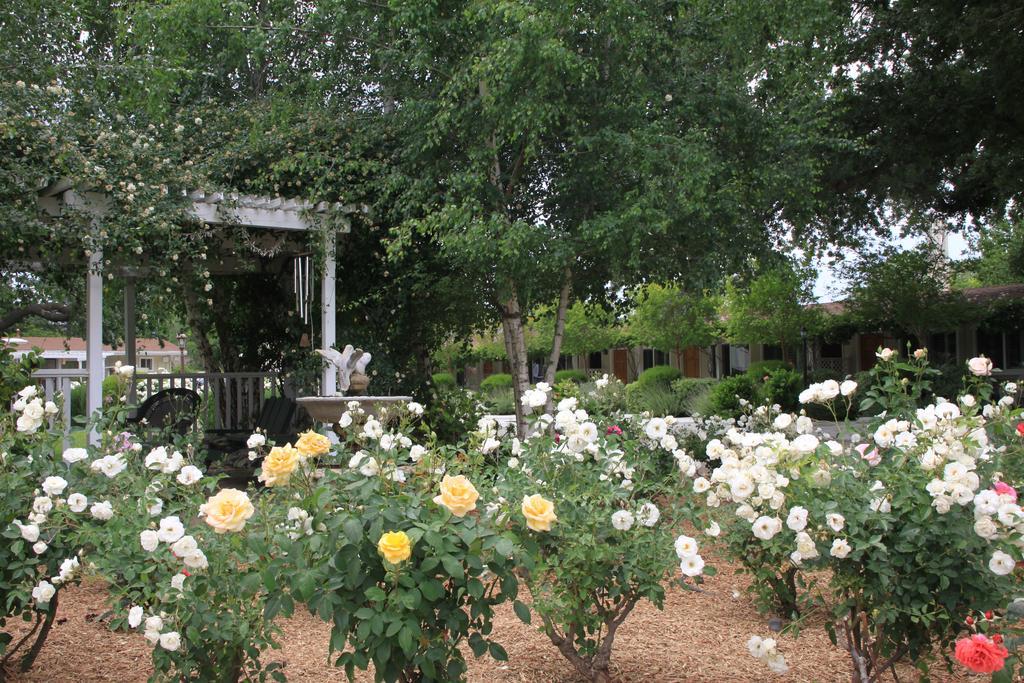 Meadowlark Inn Солванг Экстерьер фото